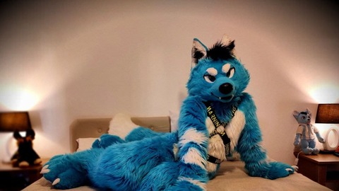 Header of bluedaddywolf