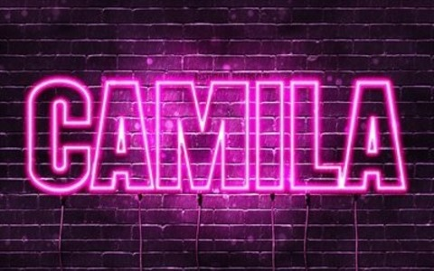 Header of cami7227