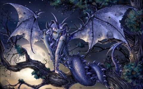 Header of cherrydragon