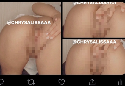 Header of chrysalissaaa