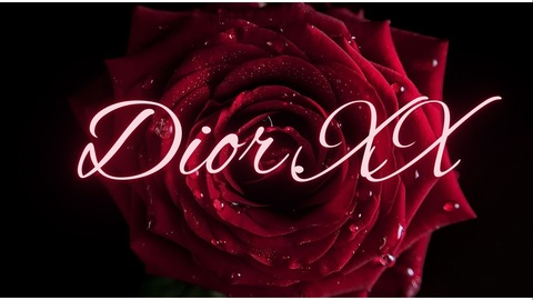 Header of dior.xx