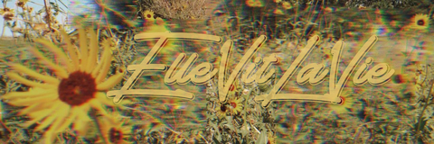 Header of ellevitlavie