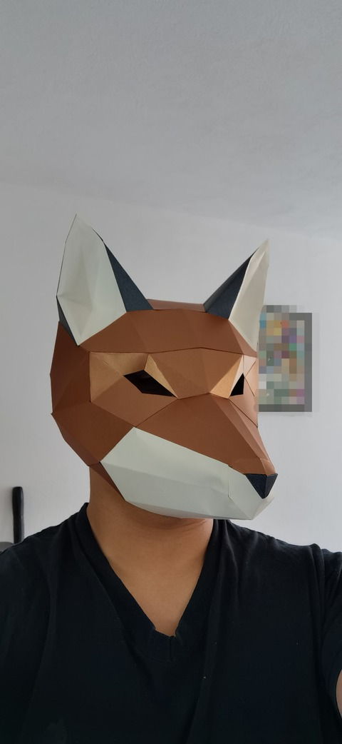 Header of fox_1_inu