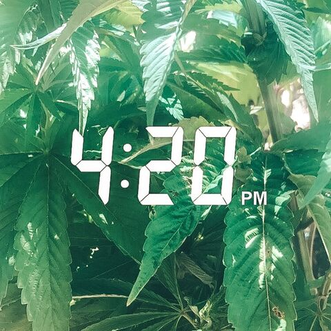 Header of its420honeyy