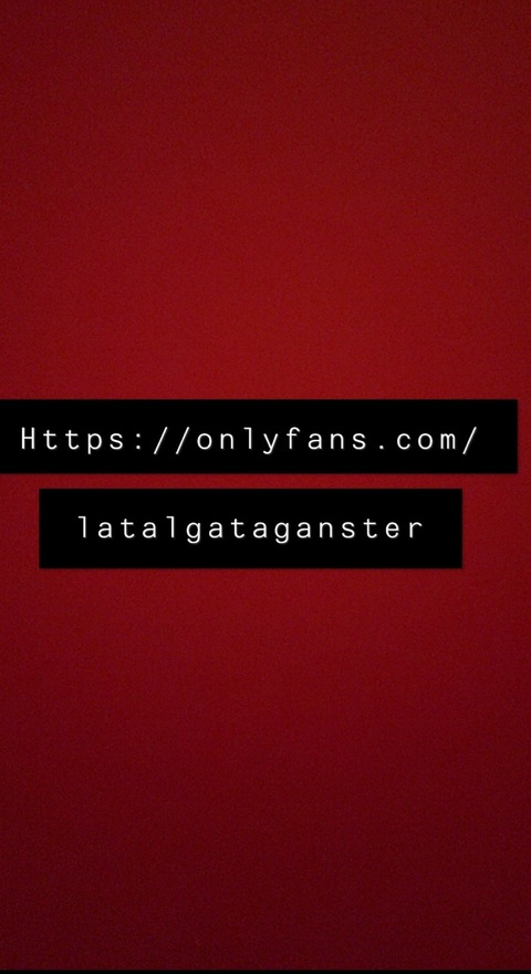 Header of latalgataganster