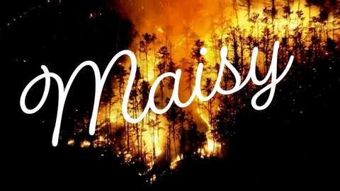 Header of maisyflame