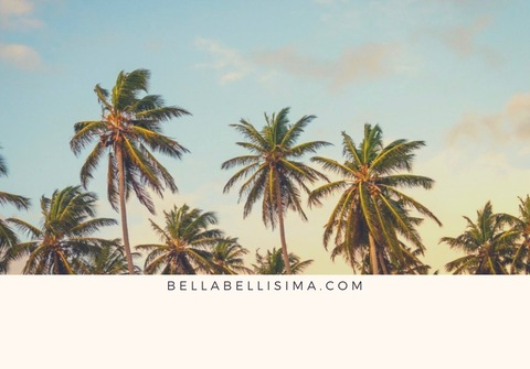 Header of msbellabellisima