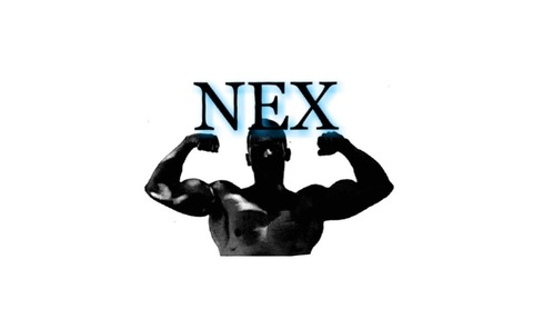 Header of nex96