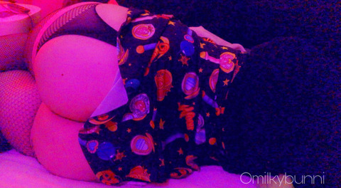 Header of omilkybunni