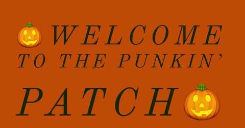 Header of punk-in-patch13
