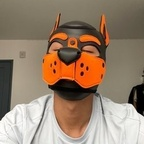 pup_rawuu profile picture