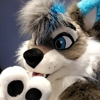 skyserwolf profile picture
