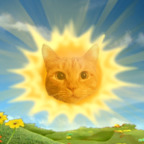 solarkitty profile picture