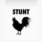 stunttcock profile picture