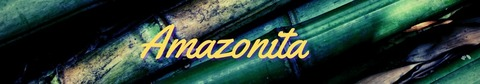 Header of the-amazonita