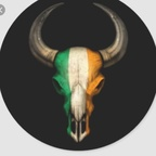 the_irishbull profile picture