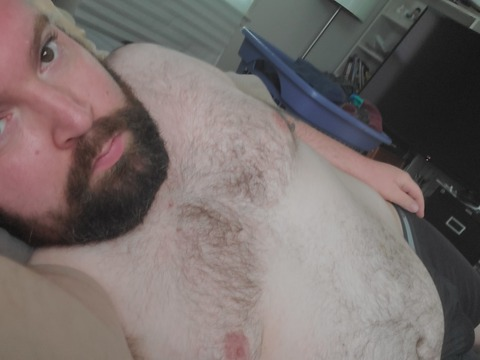 Header of thebeardedbull