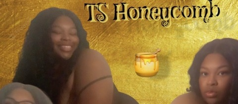 Header of tshoneycomb