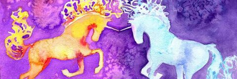 Header of twounicornsonecam